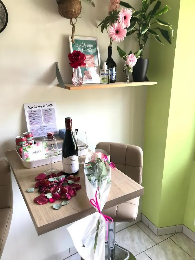 Apartment Le Clocher, Studio Duplex Avec Clim Renage